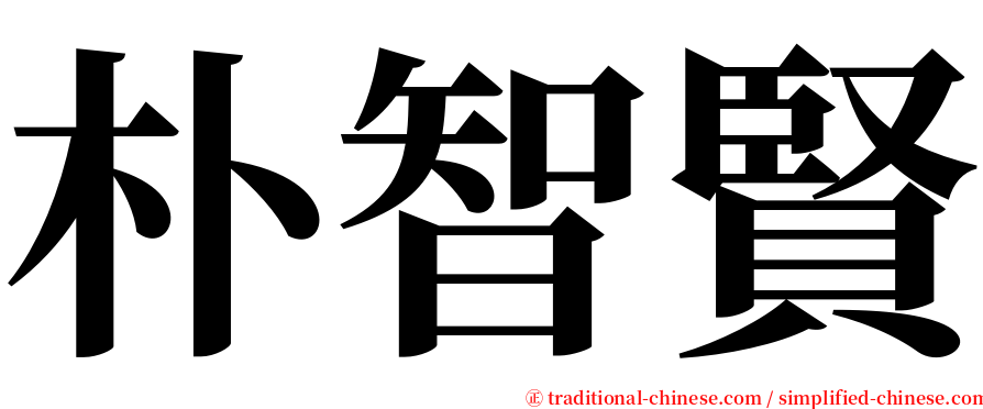 朴智賢 serif font
