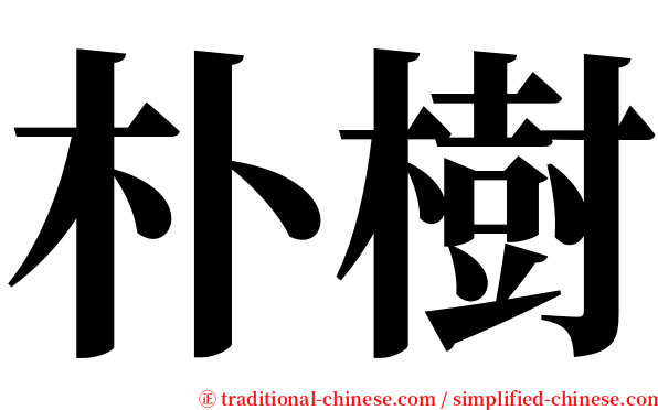 朴樹 serif font