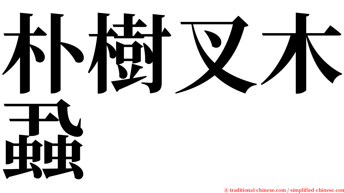 朴樹叉木蝨 serif font