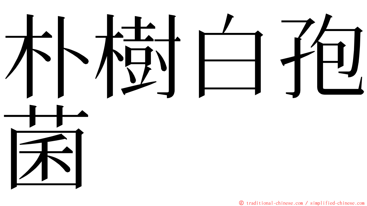 朴樹白孢菌 ming font