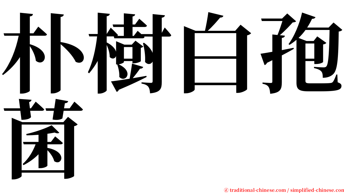 朴樹白孢菌 serif font