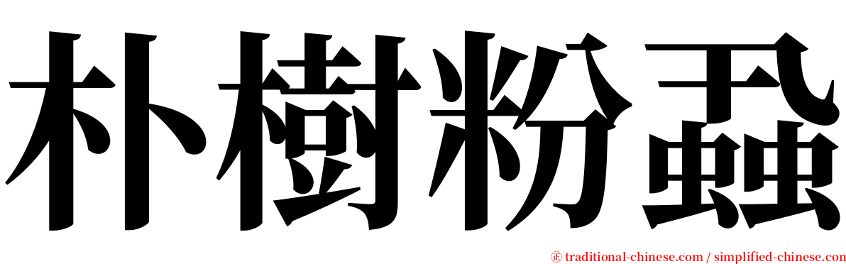 朴樹粉蝨 serif font