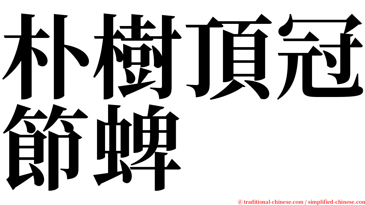 朴樹頂冠節蜱 serif font