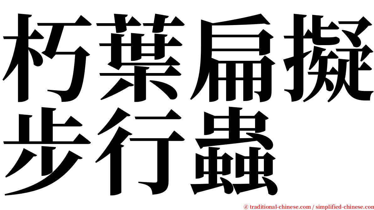 朽葉扁擬步行蟲 serif font