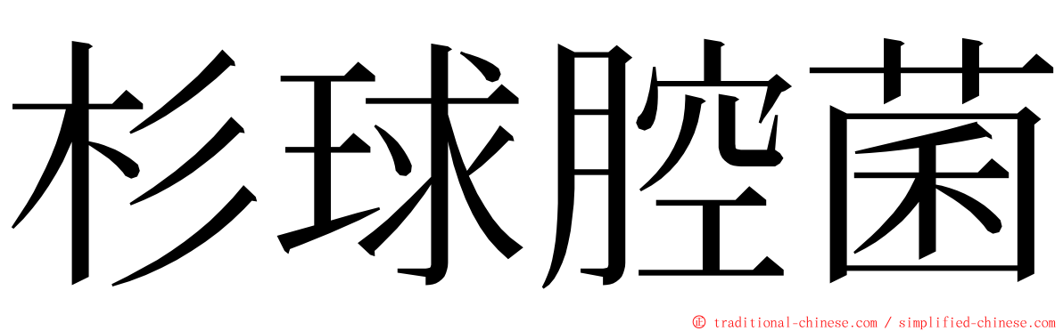 杉球腔菌 ming font