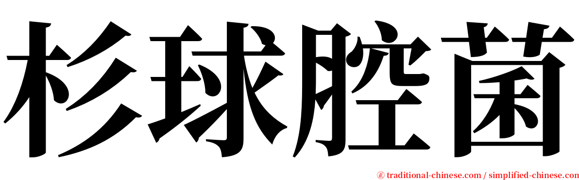 杉球腔菌 serif font
