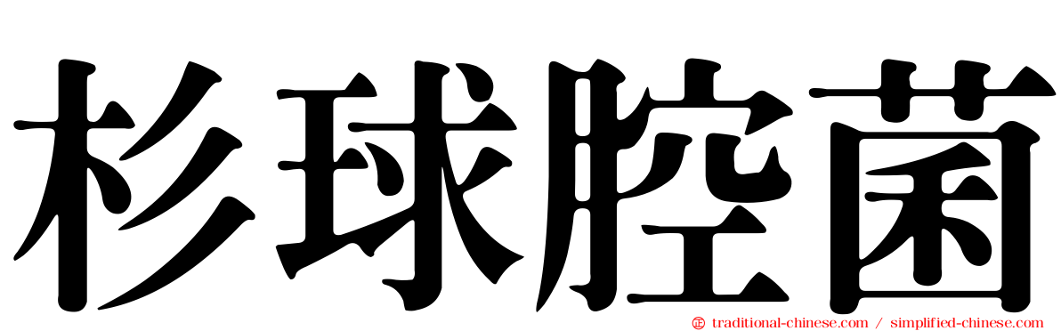 杉球腔菌