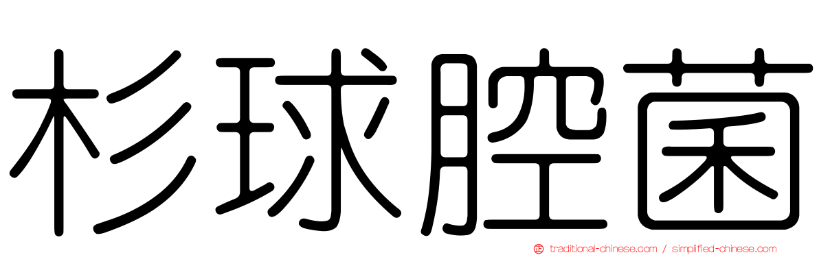 杉球腔菌