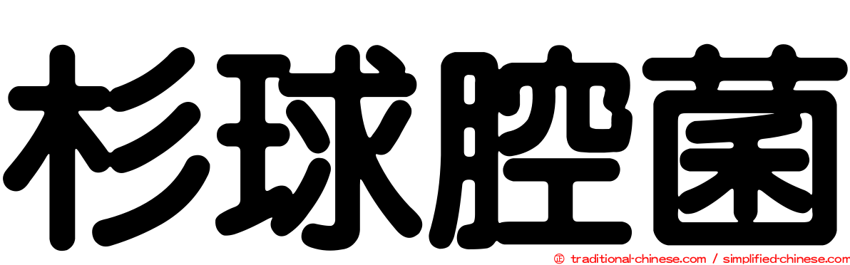 杉球腔菌