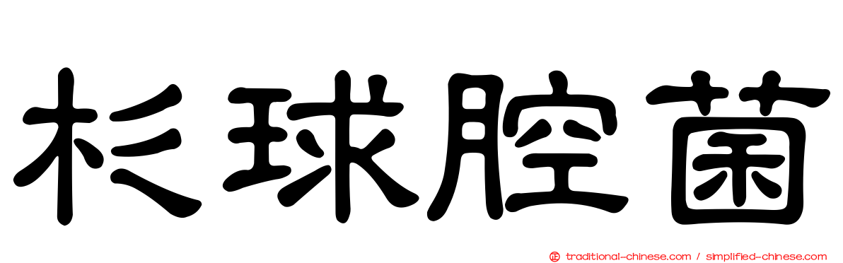 杉球腔菌