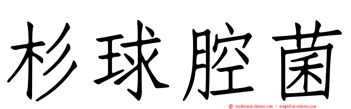 杉球腔菌