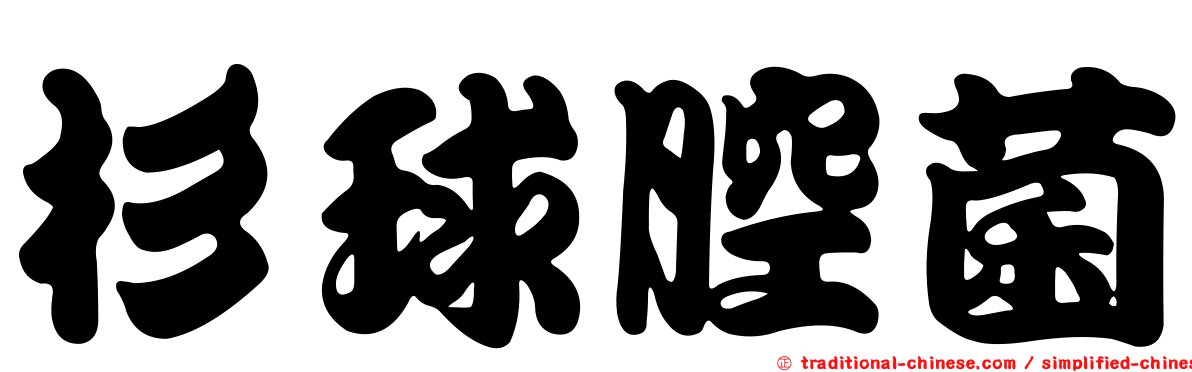 杉球腔菌