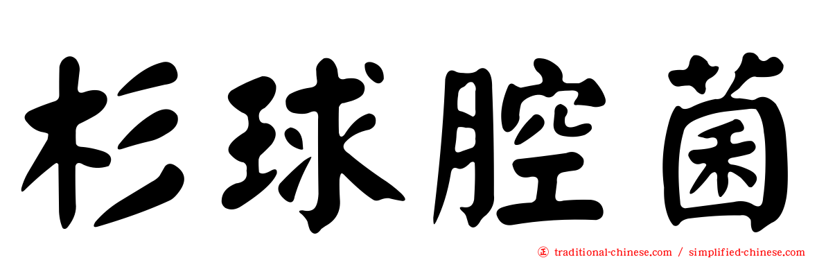 杉球腔菌