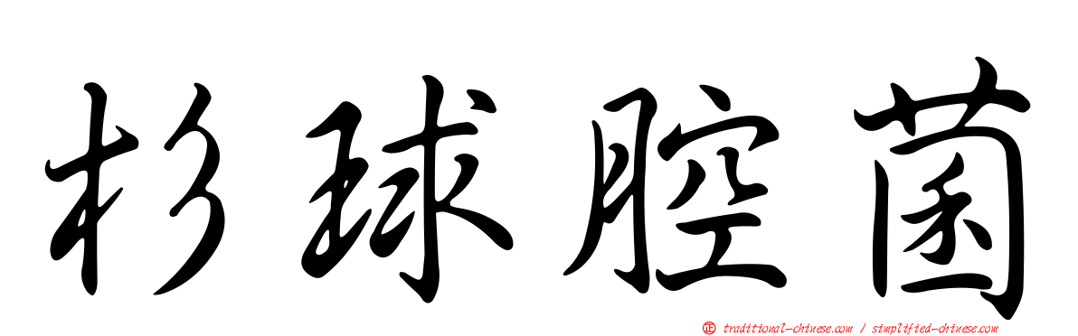 杉球腔菌