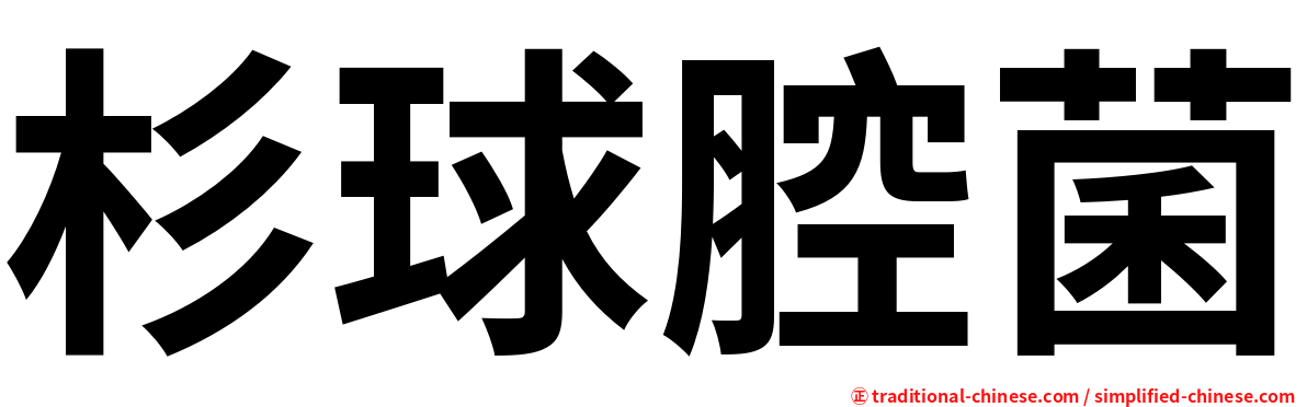 杉球腔菌