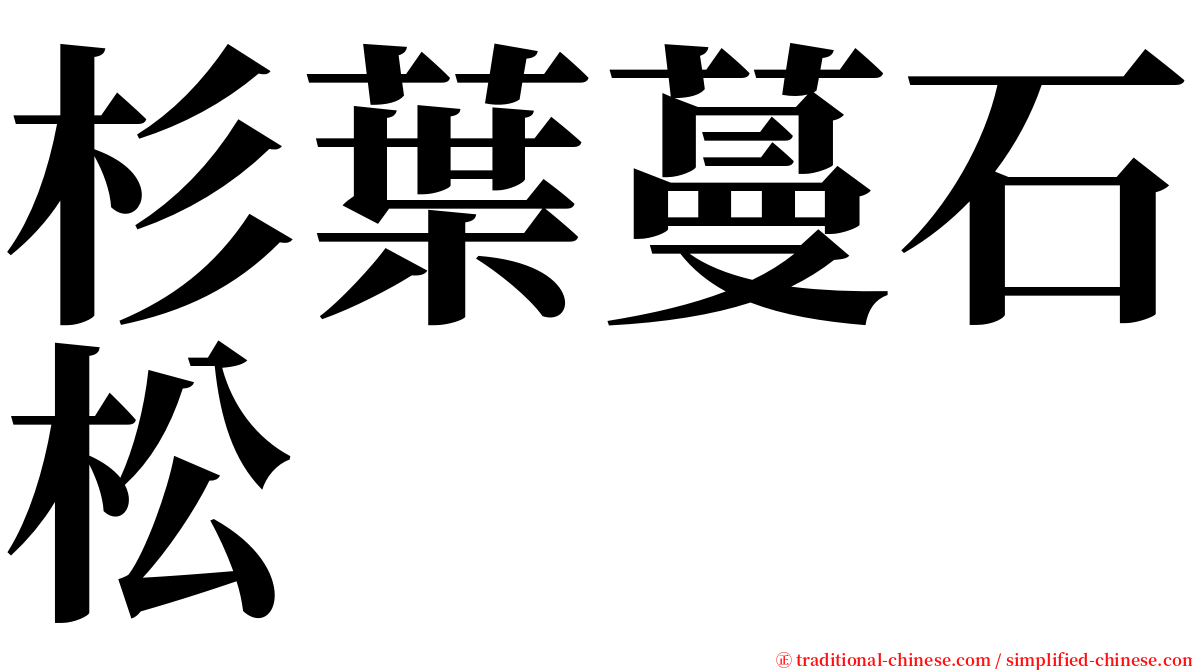 杉葉蔓石松 serif font