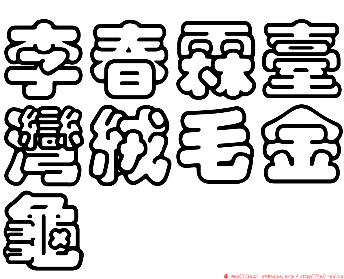 李春霖臺灣絨毛金龜