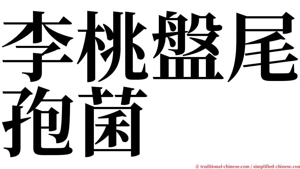 李桃盤尾孢菌 serif font