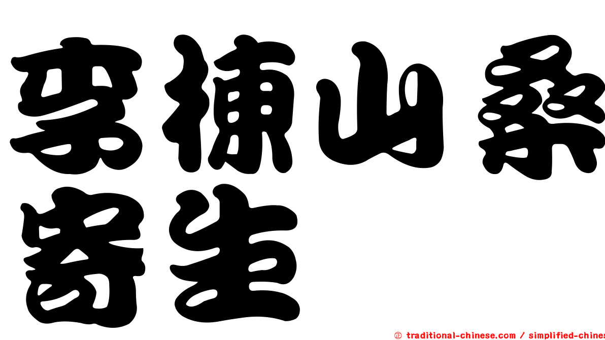李棟山桑寄生