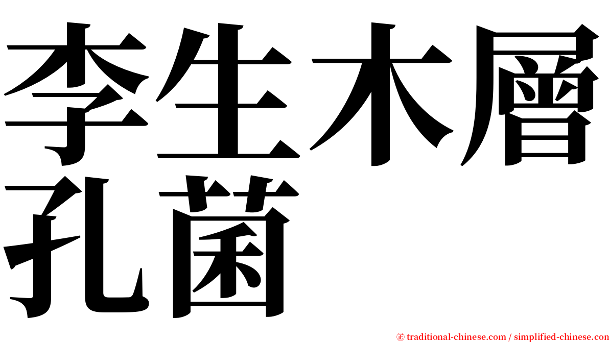 李生木層孔菌 serif font