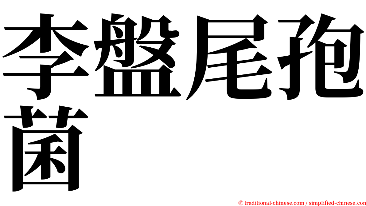 李盤尾孢菌 serif font