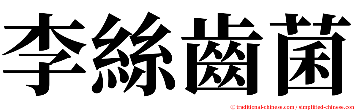 李絲齒菌 serif font