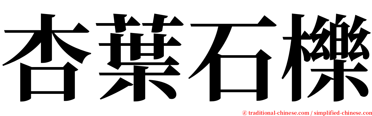 杏葉石櫟 serif font