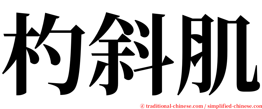 杓斜肌 serif font