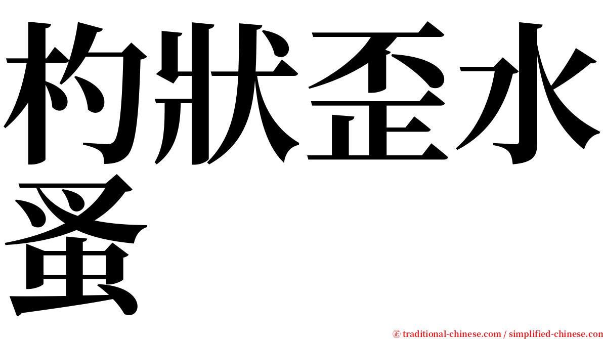 杓狀歪水蚤 serif font