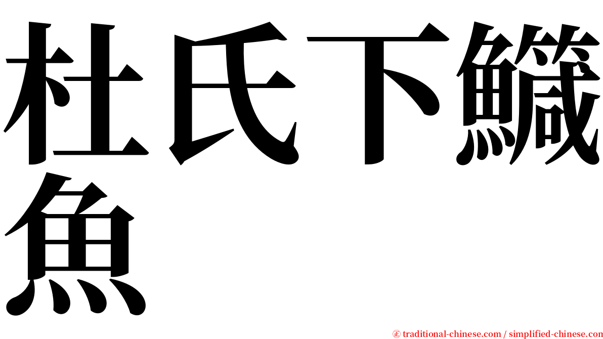 杜氏下鱵魚 serif font