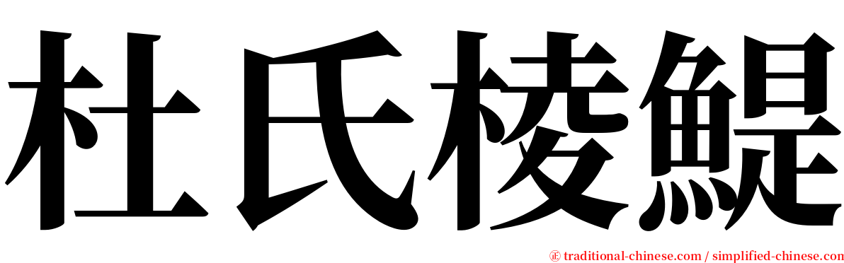 杜氏棱鯷 serif font