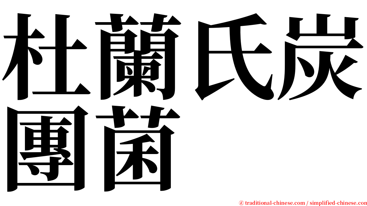 杜蘭氏炭團菌 serif font