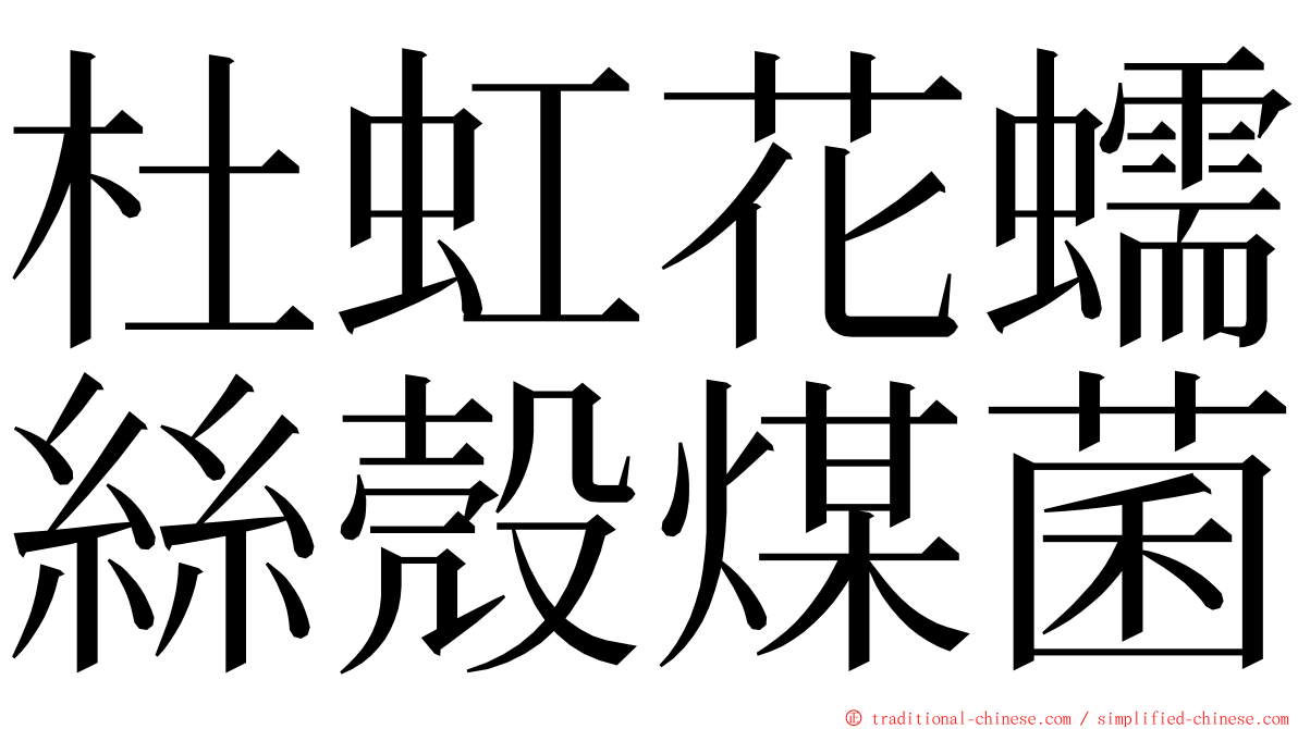 杜虹花蠕絲殼煤菌 ming font