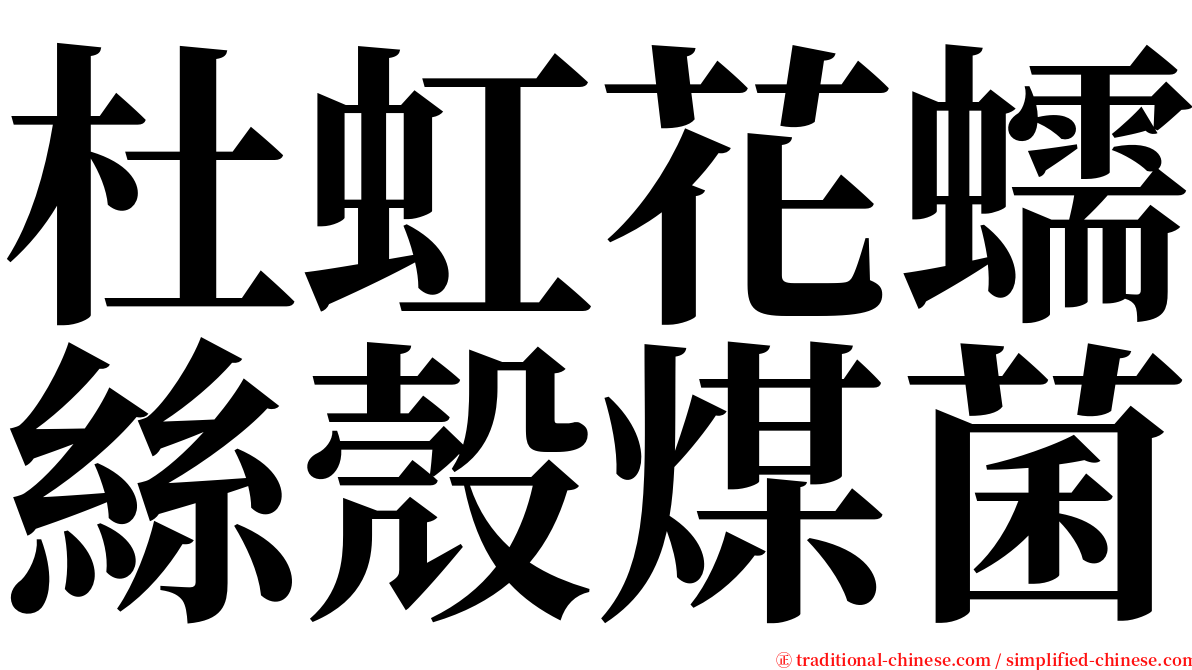 杜虹花蠕絲殼煤菌 serif font