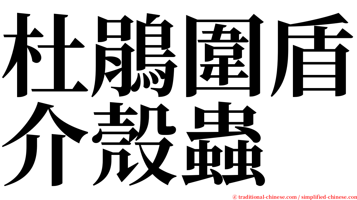 杜鵑圍盾介殼蟲 serif font