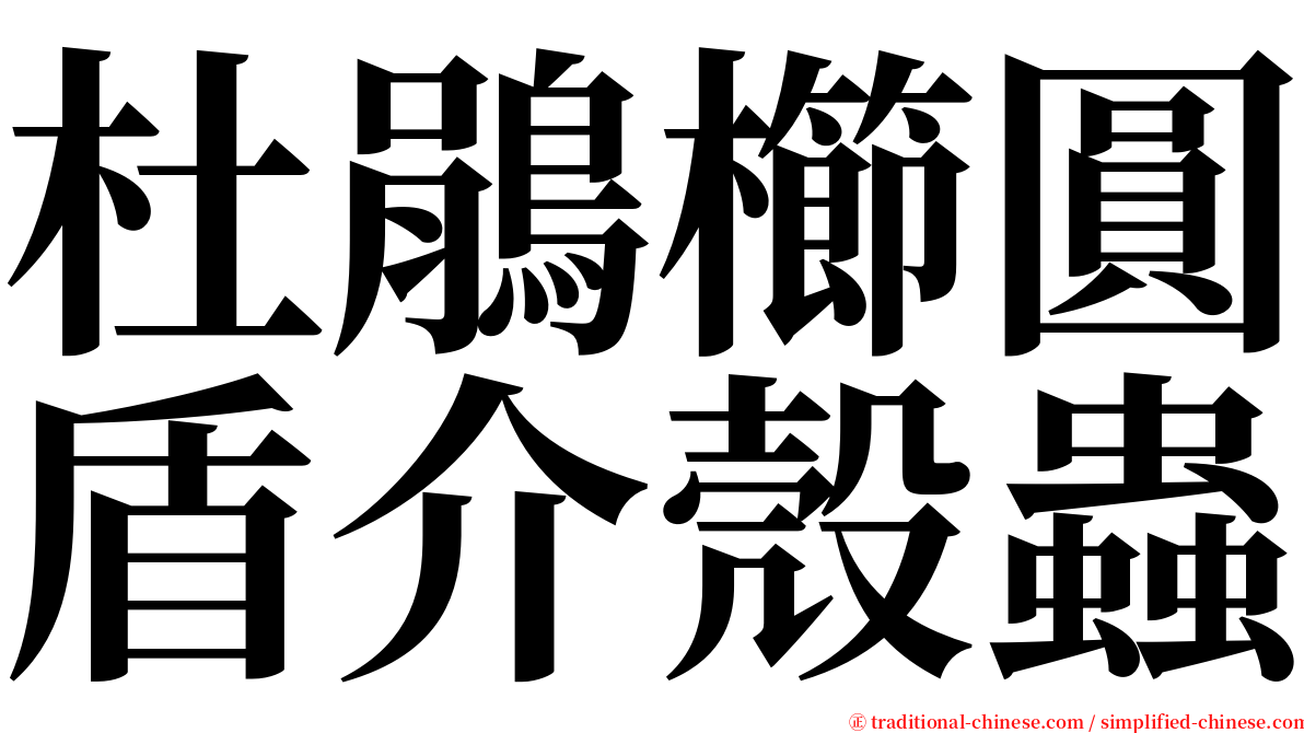 杜鵑櫛圓盾介殼蟲 serif font