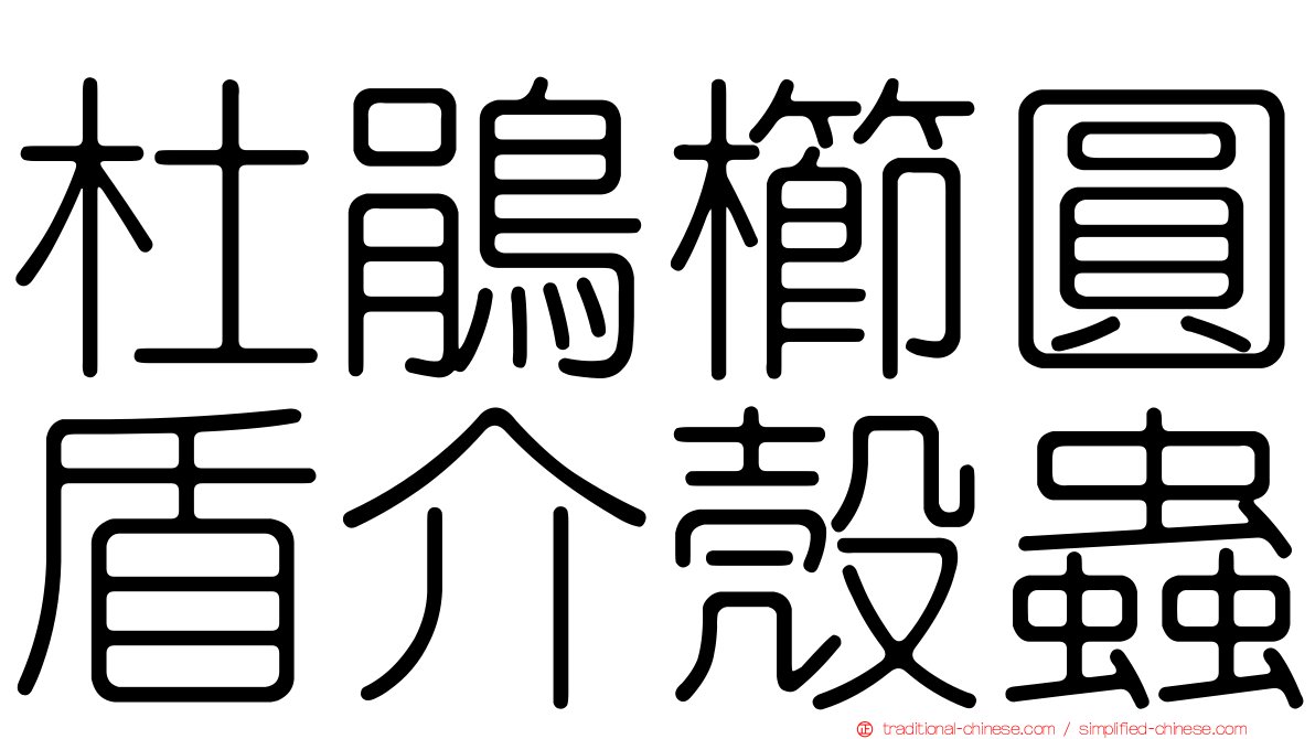 杜鵑櫛圓盾介殼蟲