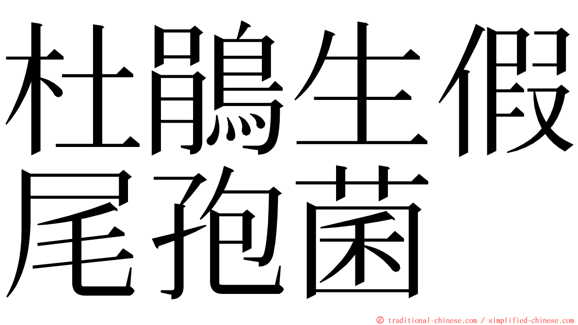 杜鵑生假尾孢菌 ming font