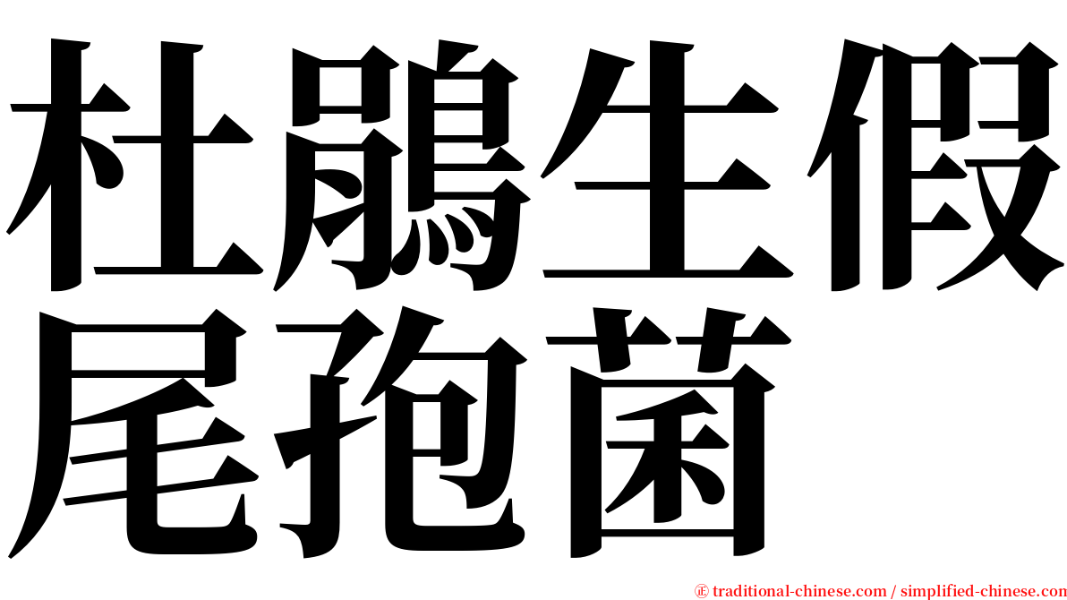 杜鵑生假尾孢菌 serif font