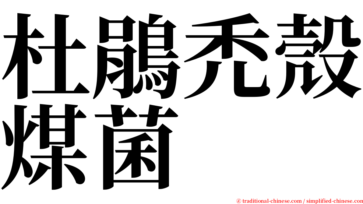 杜鵑禿殼煤菌 serif font