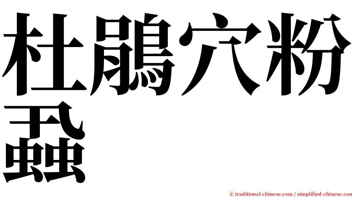 杜鵑穴粉蝨 serif font