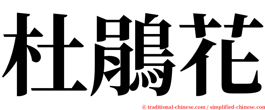 杜鵑花 serif font