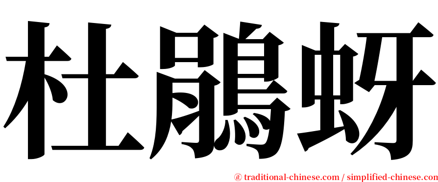 杜鵑蚜 serif font