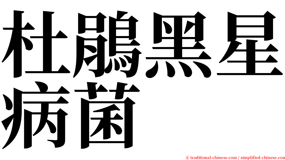 杜鵑黑星病菌 serif font