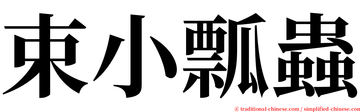 束小瓢蟲 serif font