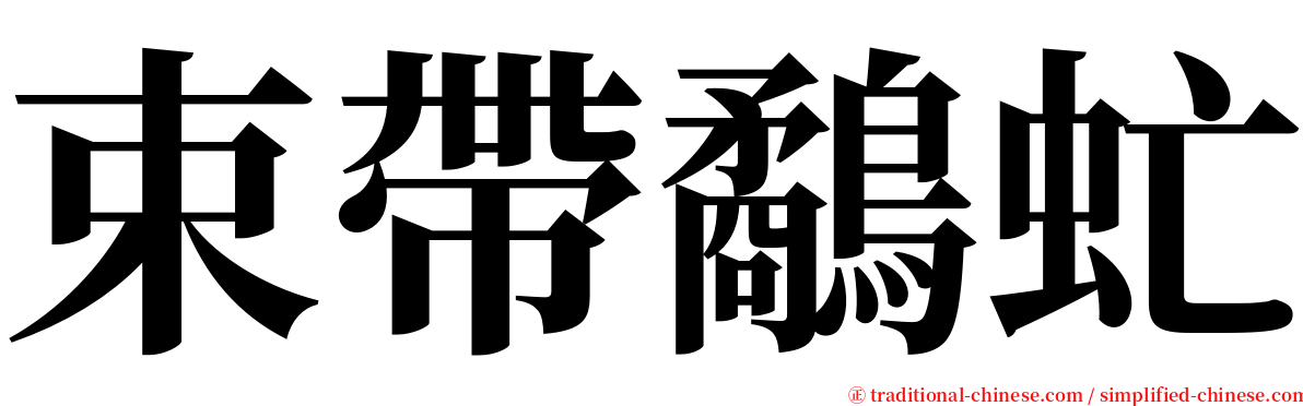 束帶鷸虻 serif font