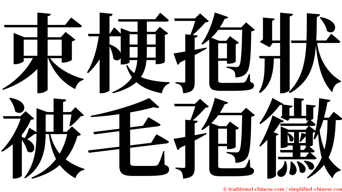 束梗孢狀被毛孢黴 serif font