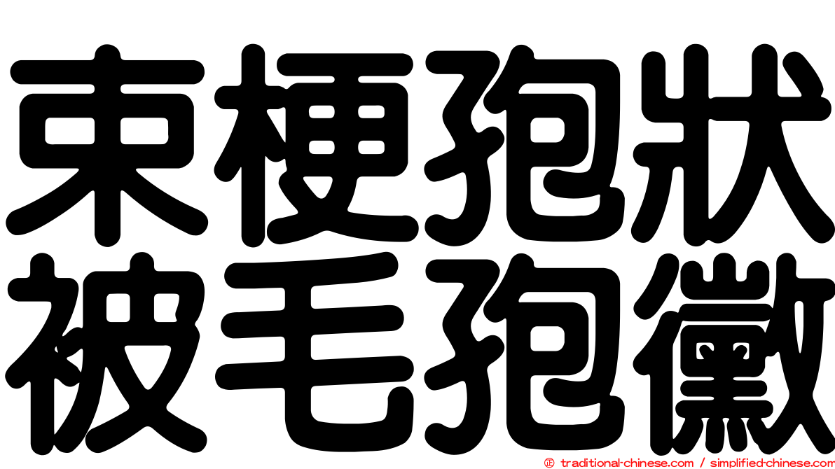 束梗孢狀被毛孢黴