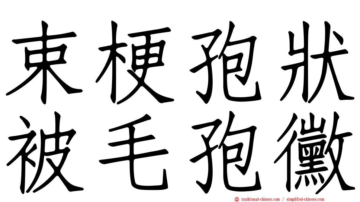 束梗孢狀被毛孢黴