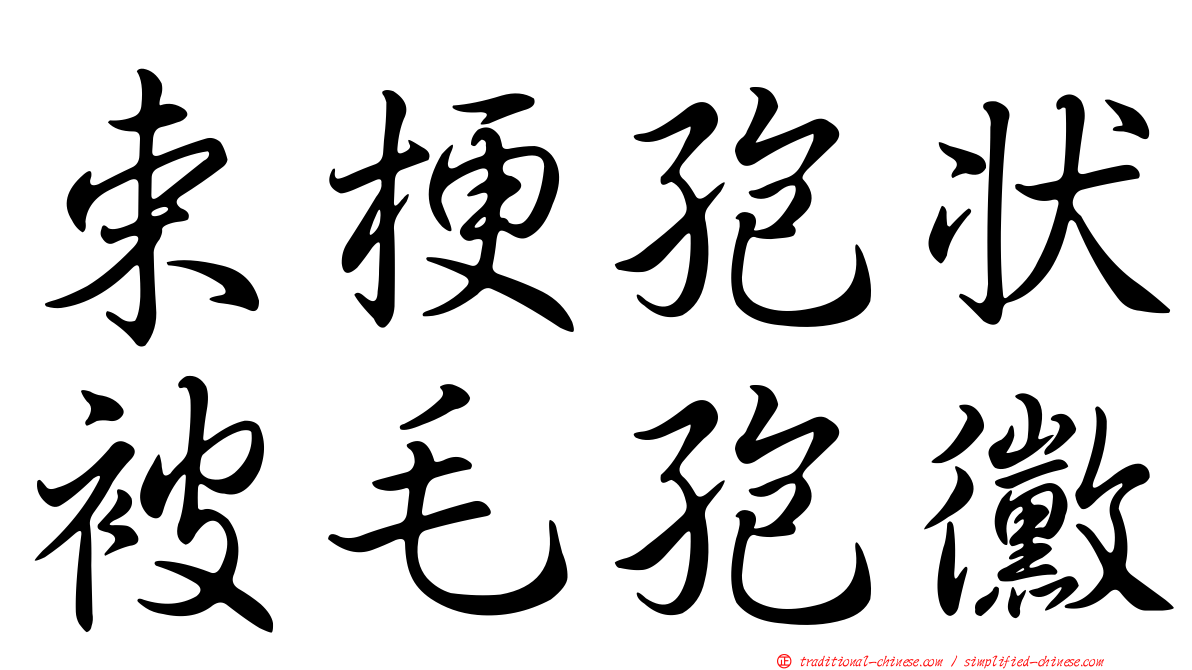 束梗孢狀被毛孢黴